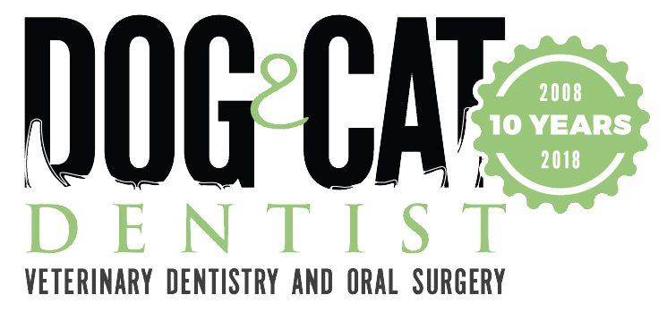 Dog and Cat Dentist